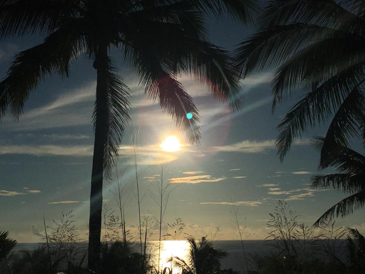 Coconut Beach Homestay Beinan Dış mekan fotoğraf
